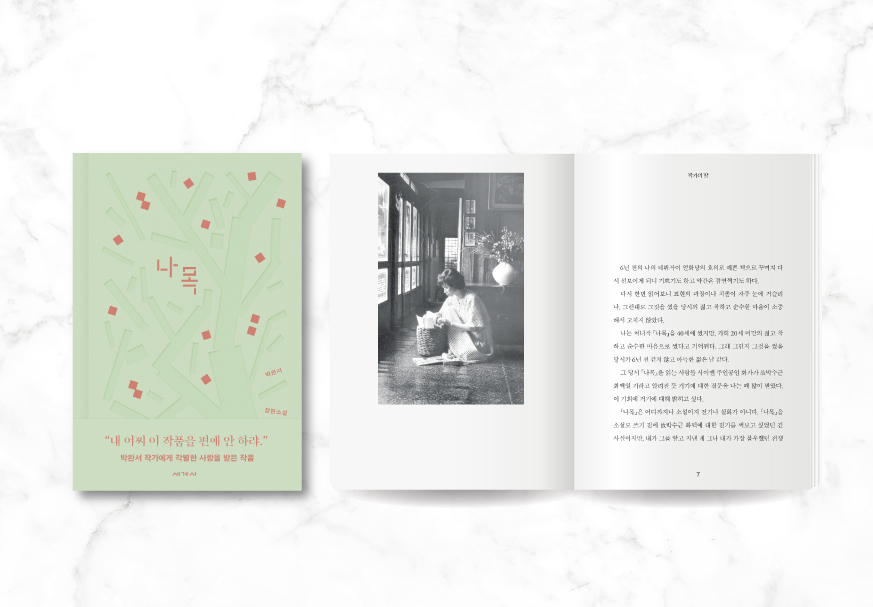 킬러컨텐츠_873x607_나목